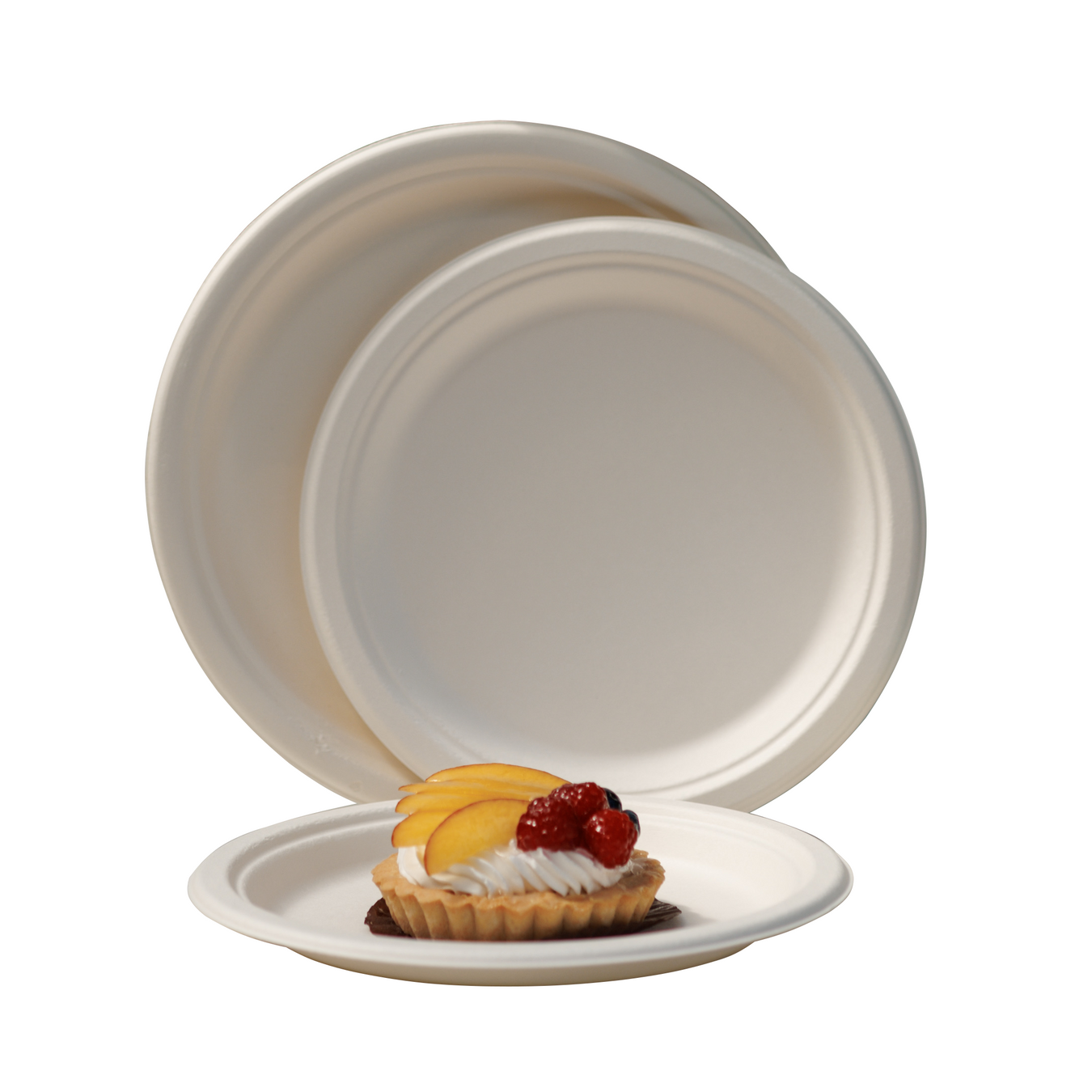Sugar cane plates